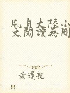 风月大陆小说全文阅读无删减封面