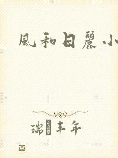 风和日丽小说