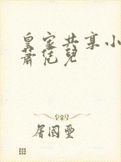 皇家共享小公主萧凭儿封面