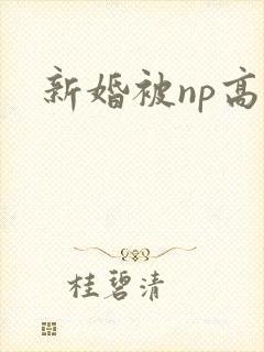新婚被np高h