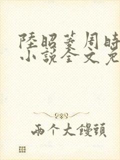 陆昭菱周时阅的小说全文免费阅读封面