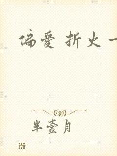 偏爱 折火一夏封面
