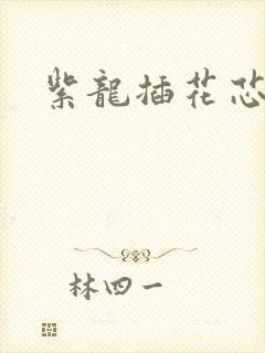 紫龙插花芯方正