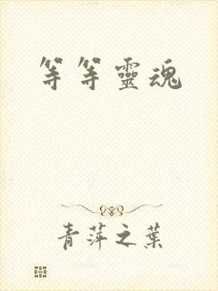 等等灵魂封面