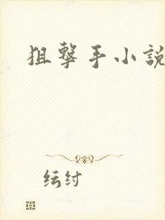 狙击手小说
