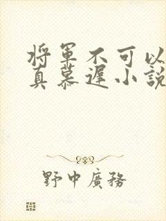 将军不可以魏云真慕迟小说笔趣阁