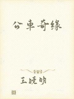 公车奇缘封面