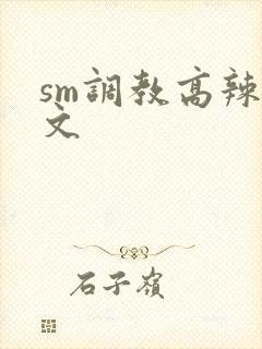 sm调教高辣h文
