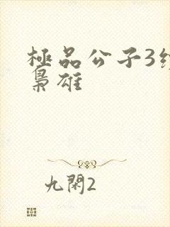 极品公子3续世枭雄
