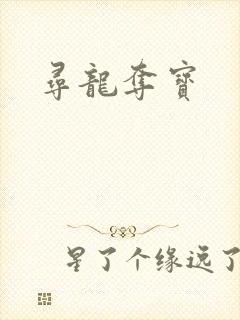 寻龙夺宝