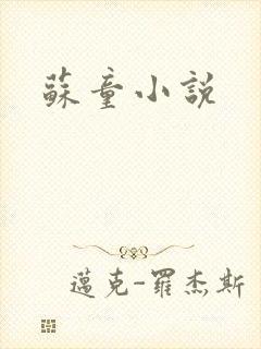 苏童小说