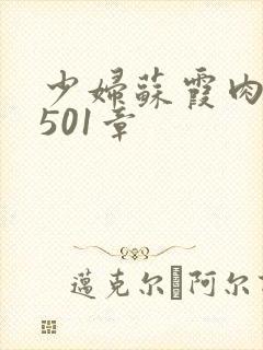 少妇苏霞肉欲第501章