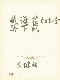 藏海花txt全集下载