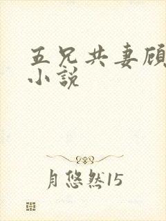 五兄共妻顾心儿小说