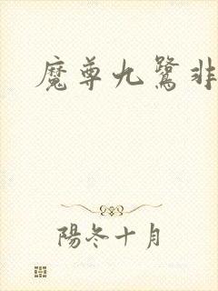 魔尊九鹭非香封面