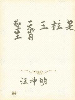 擎天玉柱是什么生肖