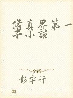 修真界第一病秧子小说封面