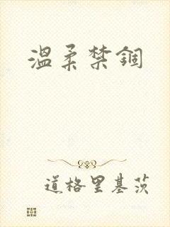 温柔禁锢封面