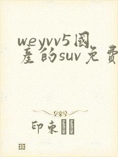 weyvv5国产的suv免费封面