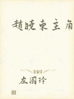 赵晓东主角小说