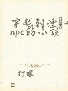 穿越到湮婸世界npc的小说