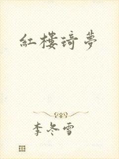 红楼琦梦封面