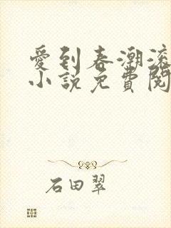 爱到春潮滚滚来小说免费阅读