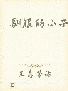 驯服的小子4
