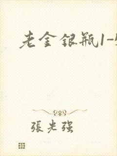 老金银瓶1-5封面