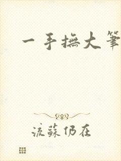 一手抚大笔趣阁封面