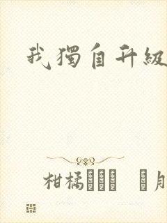 我独自升级小说