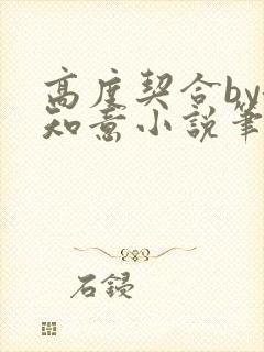 高度契合by洛知意小说笔趣阁无弹窗封面