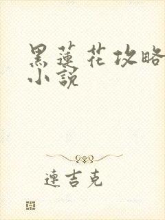 黑莲花攻略手册小说封面