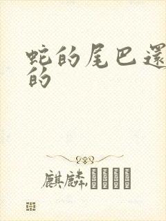 蛇的尾巴还在我的