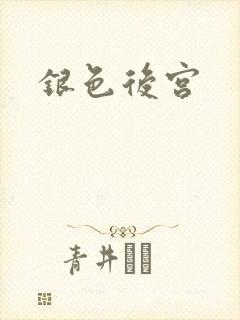 银色后宫封面