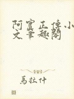 阿宾正传小说全文笔趣阁封面