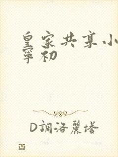 皇家共享小公主宁初