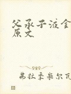 父承子液金银花原文封面