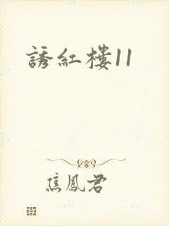诱红楼11