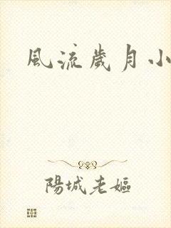 风流岁月小说