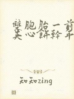 双胞胎一前一后夹心饼干年下