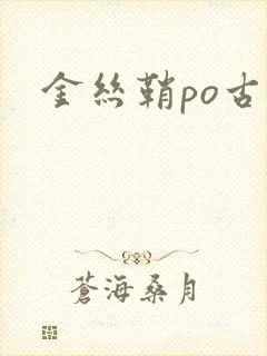 金丝鞘po古言