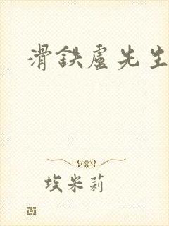 滑铁卢先生