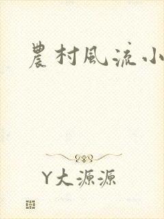 农村风流小说