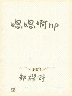 嗯嗯啊np