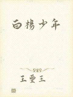 白杨少年封面
