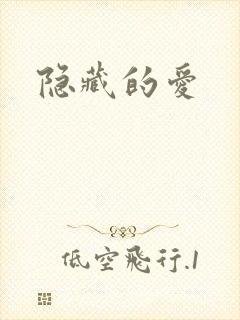 隐藏的爱封面
