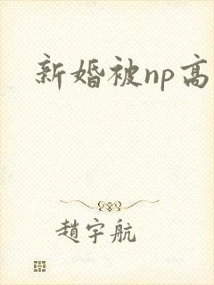 新婚被np高h封面