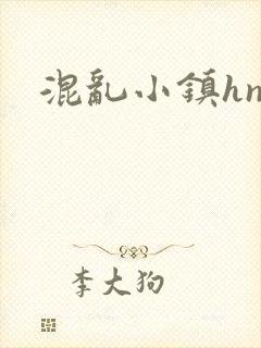 混乱小镇hnp
