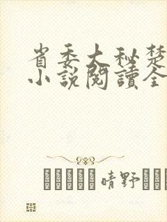 省委大秘楚东恒小说阅读全文封面